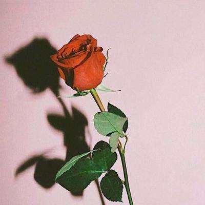 亚博体育(中国)官方网站