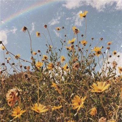 云开平台APP官方全站APP入口手机app下载