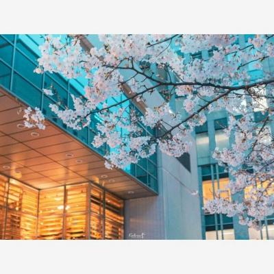 亚搏娱乐app官网下载