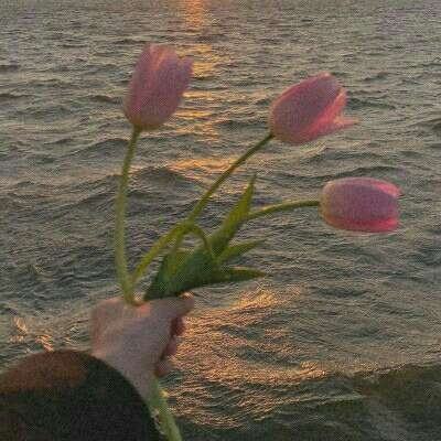 B体育登录入口APP下载