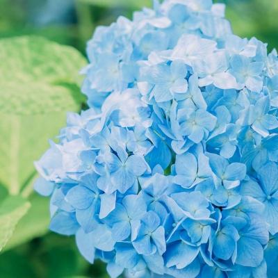 kok在线登陆官网